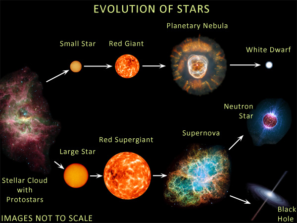 What are white dwarf stars? How do they form?